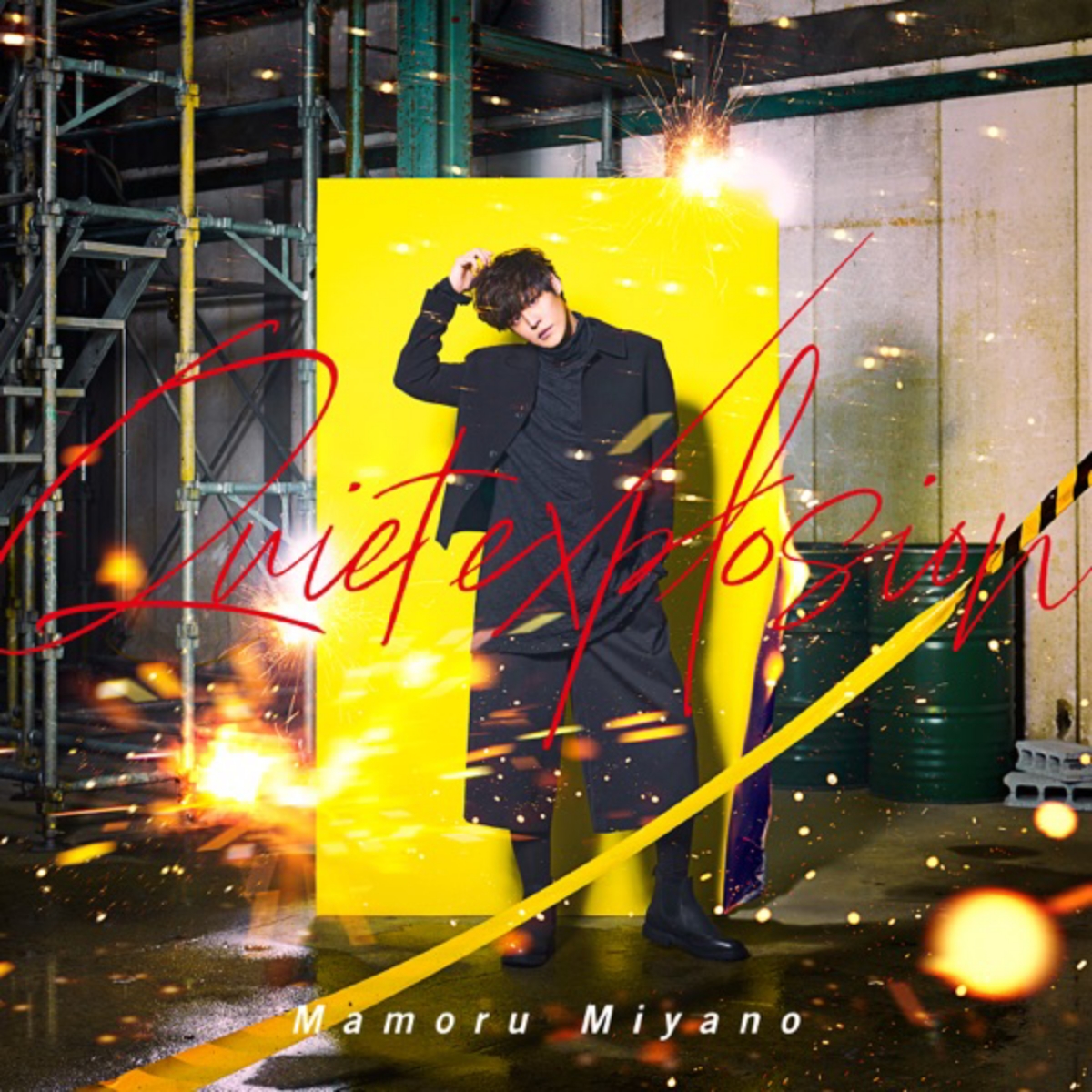 Mamoru Miyano - Quiet explosion.mp3