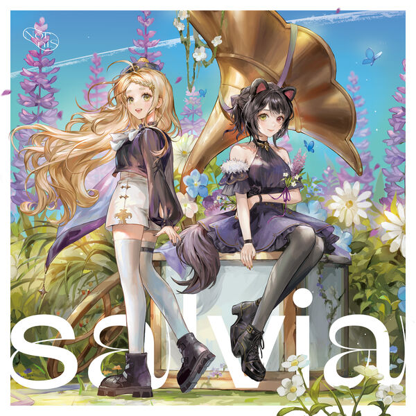 Nornis - salvia.mp3