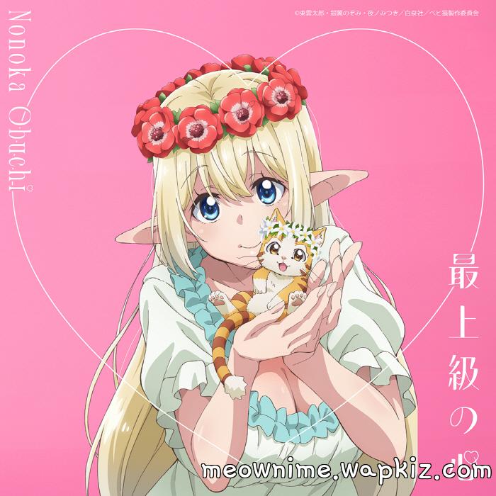 Nonoka Oobuchi - Saijoukyuu no Kokoro.mp3