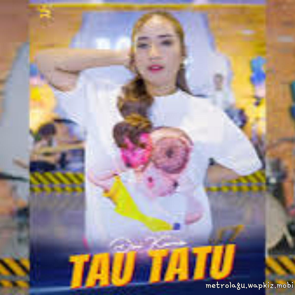Dini Kurnia - Tau Tatu.mp3