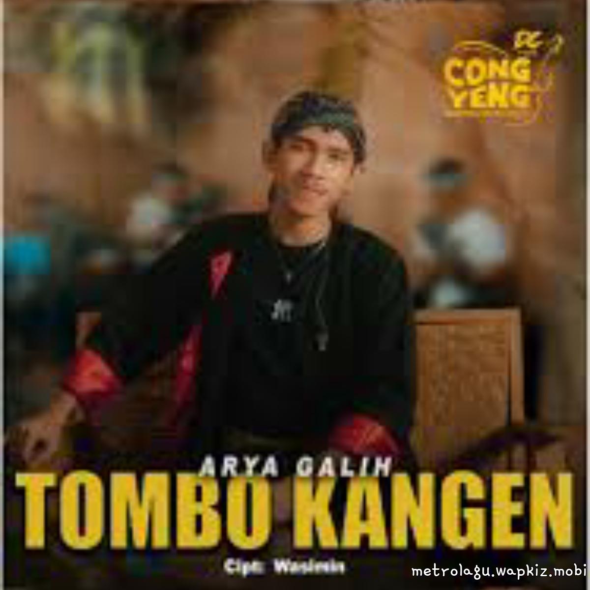 Arya Galih - Tombo Kangen.mp3