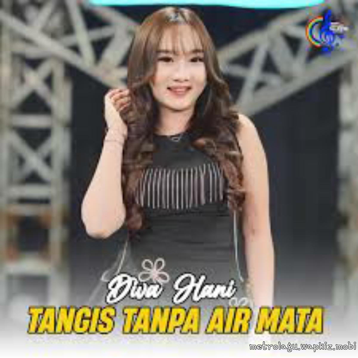 Diva Hani - Tangis Tanpa Air Mata.mp3