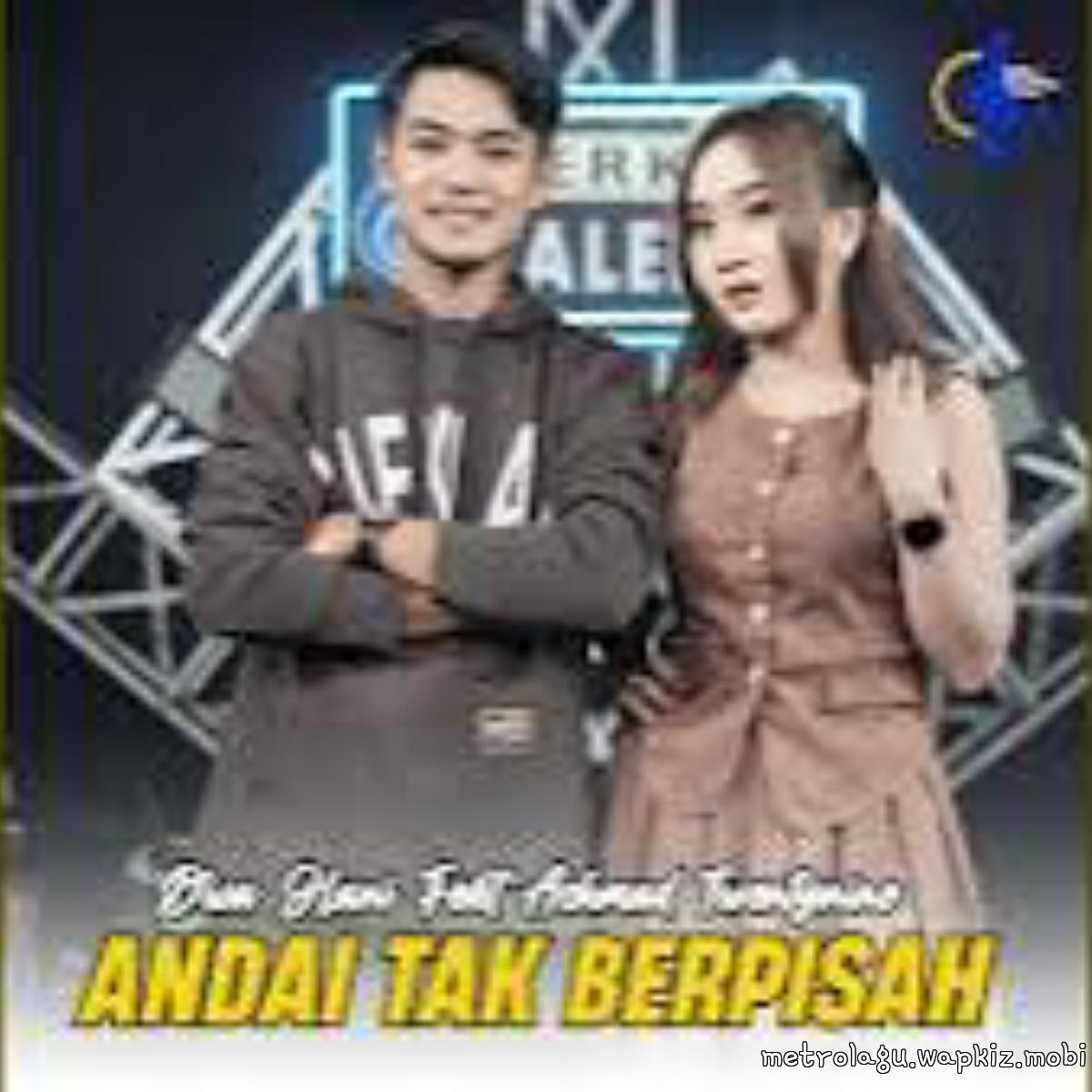 Diva Hani Ft Achmad Twentynine - Andai Tak Berpisah.mp3