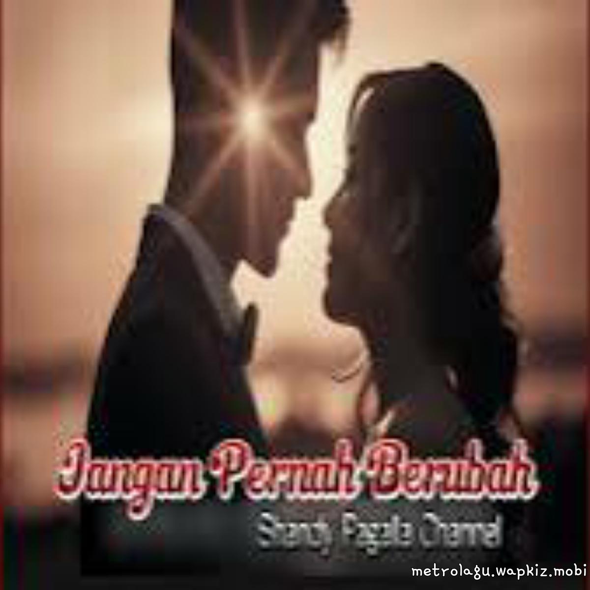Shandy Pagalla Channel - Jangan Pernah Berubah.mp3