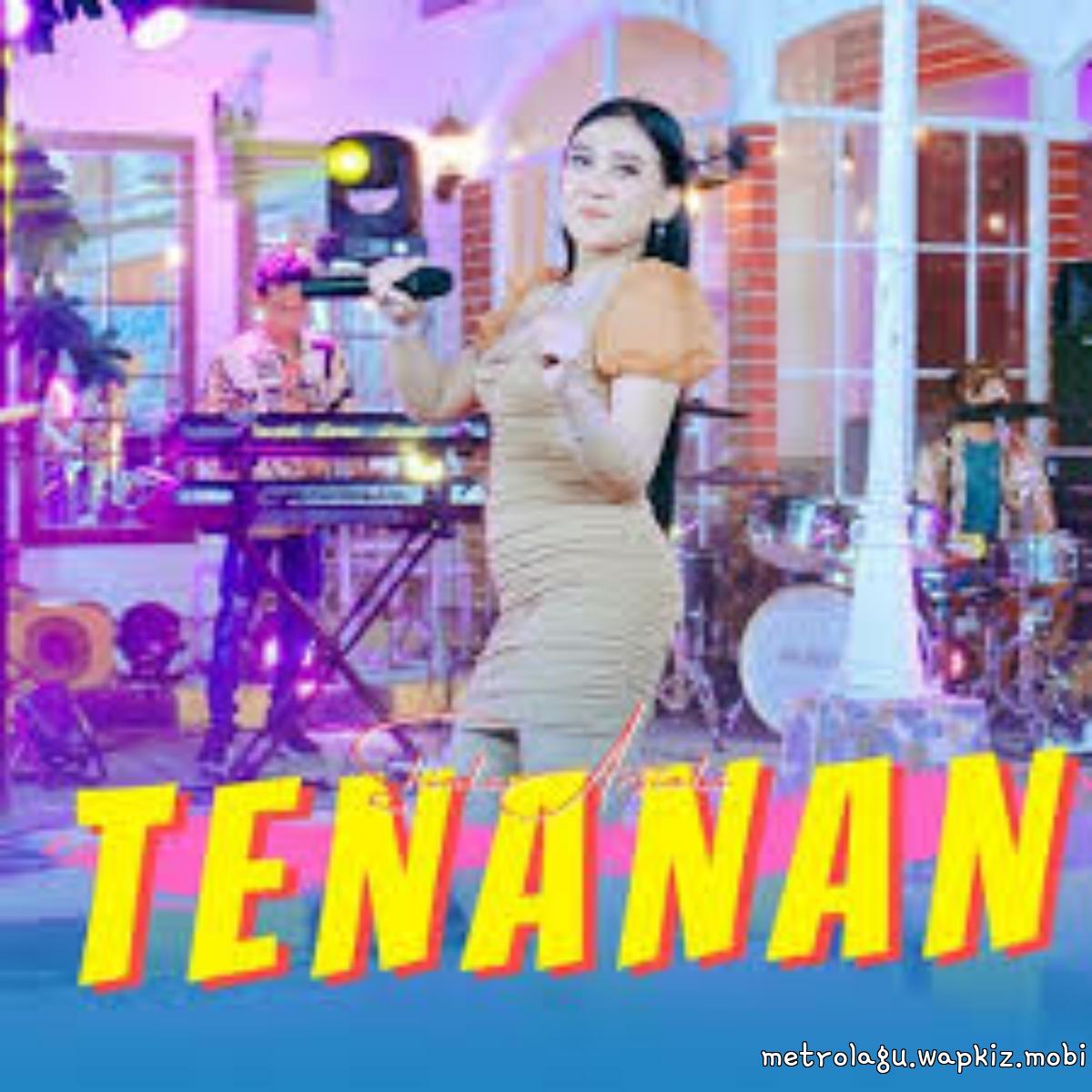 Shinta Arsinta - Tenanan.mp3