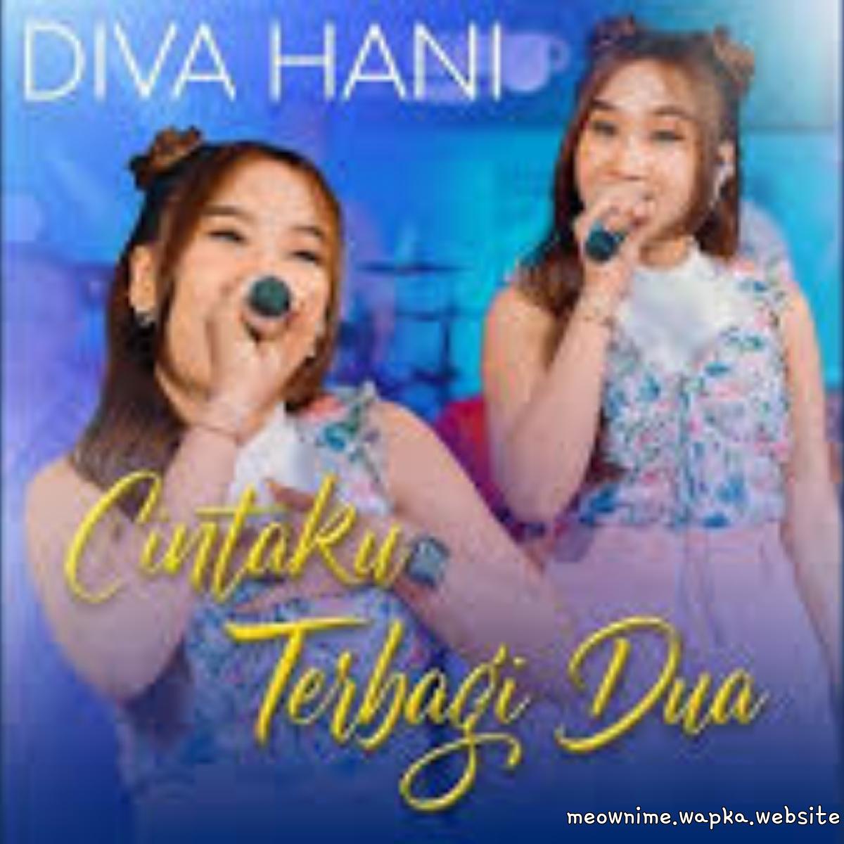 Diva Hani - Cintaku Terbagi Dua.mp3