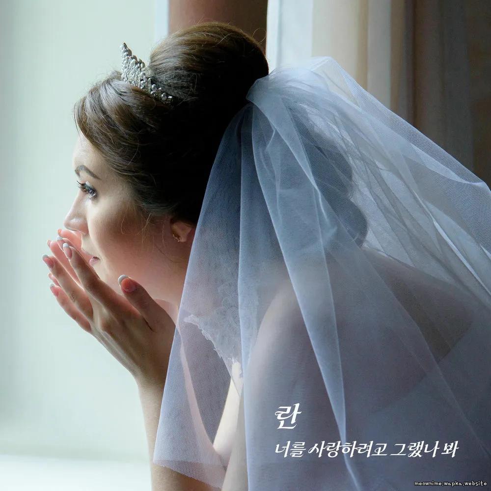 Ran - I guess I was trying to love you.mp3