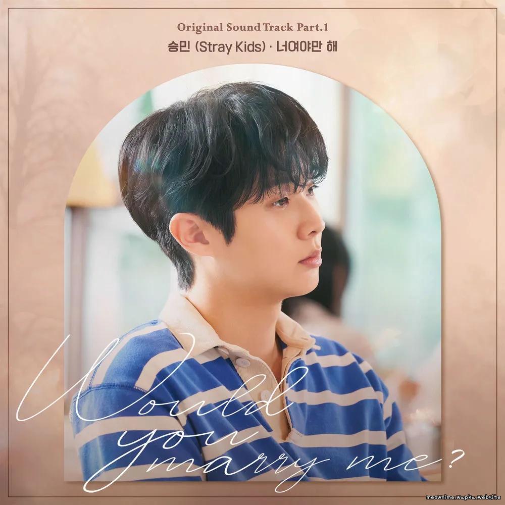 Seungmin (Stray Kids) - All I Want Is You.mp3