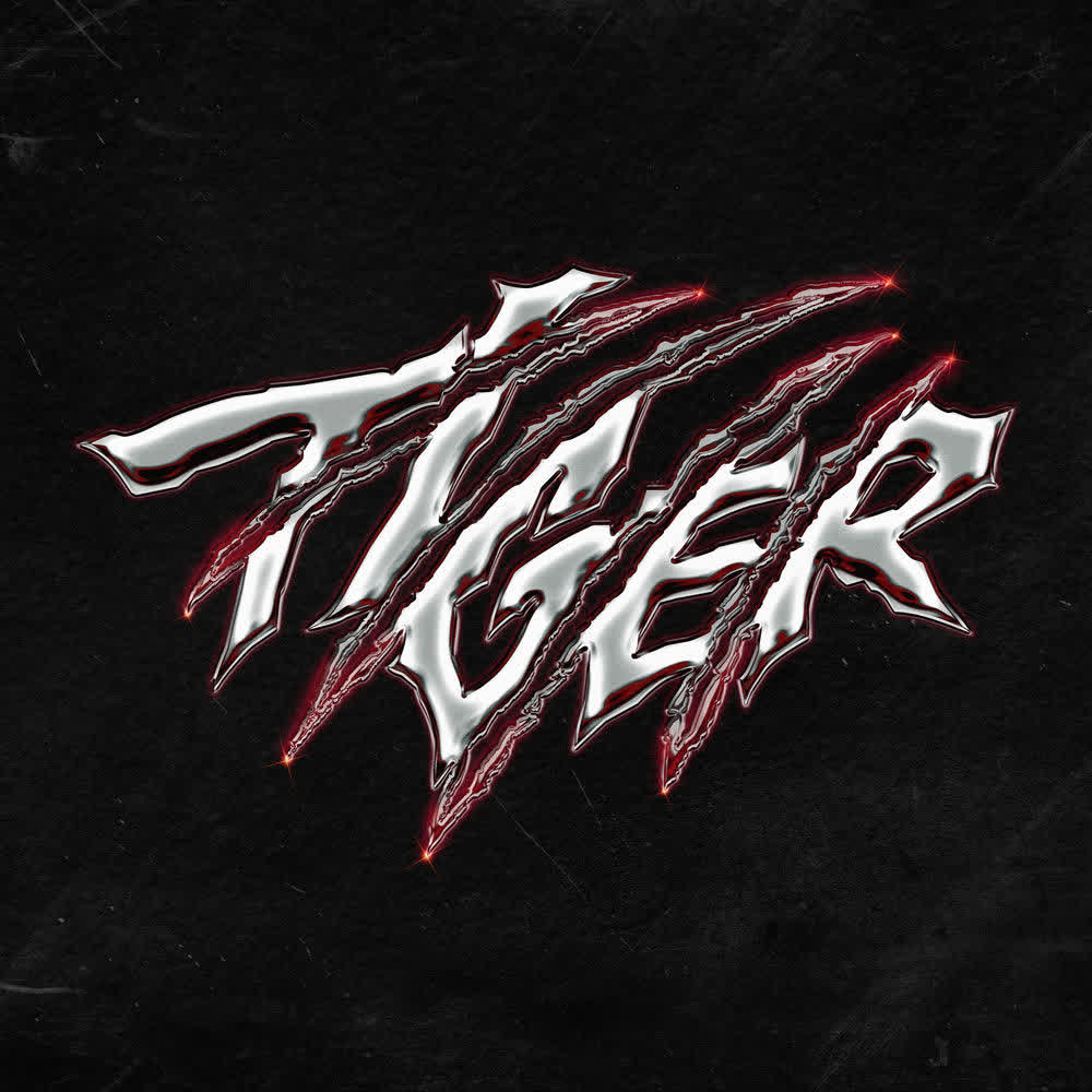 THE BOYZ - Tiger.mp3