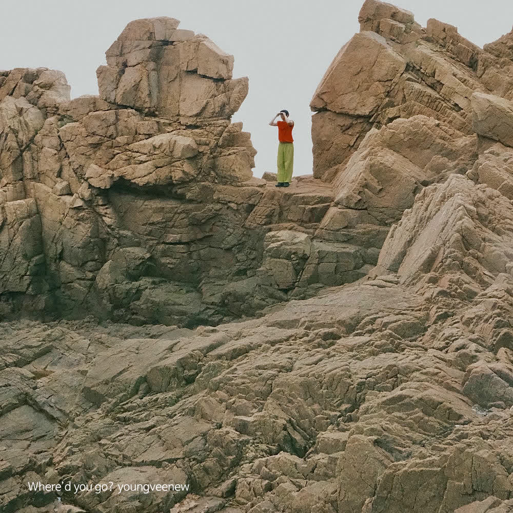youngveenew - 꿈의 문장 (Dreamlines).mp3