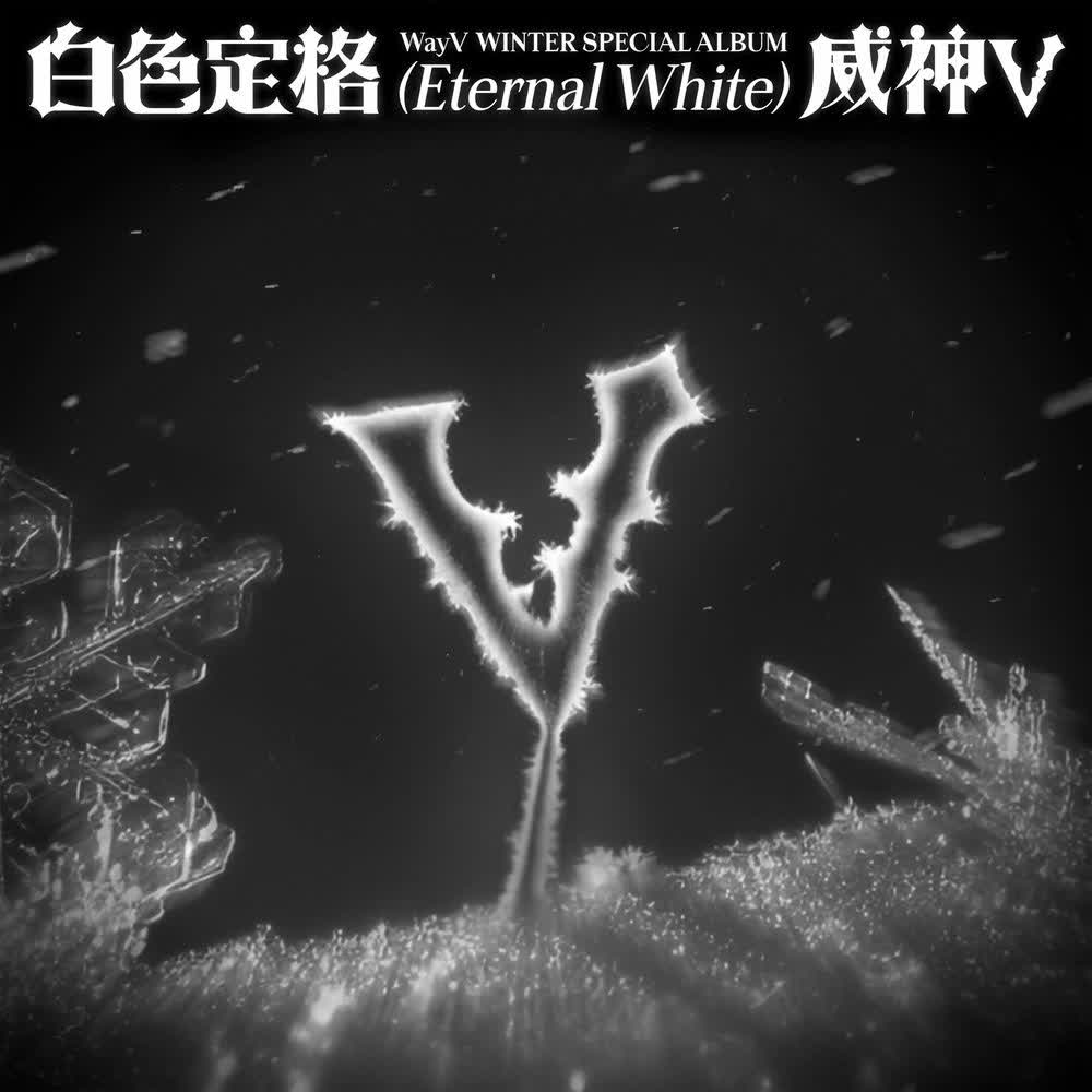 WayV - 我之后的你 (Lover After Me).mp3