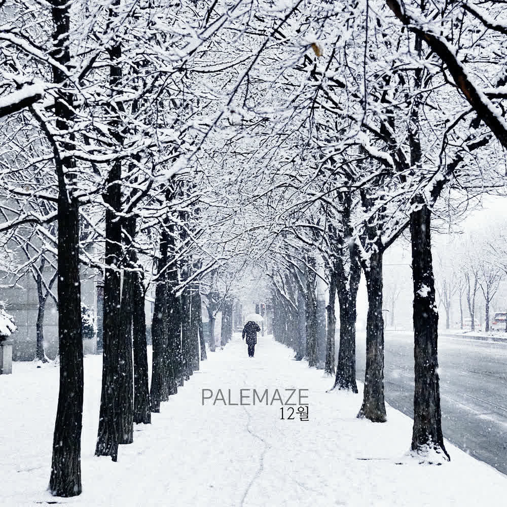 PALE MAZE - 얼룩 (Bruise on my heart) (feat. Seong Ahreum).mp3