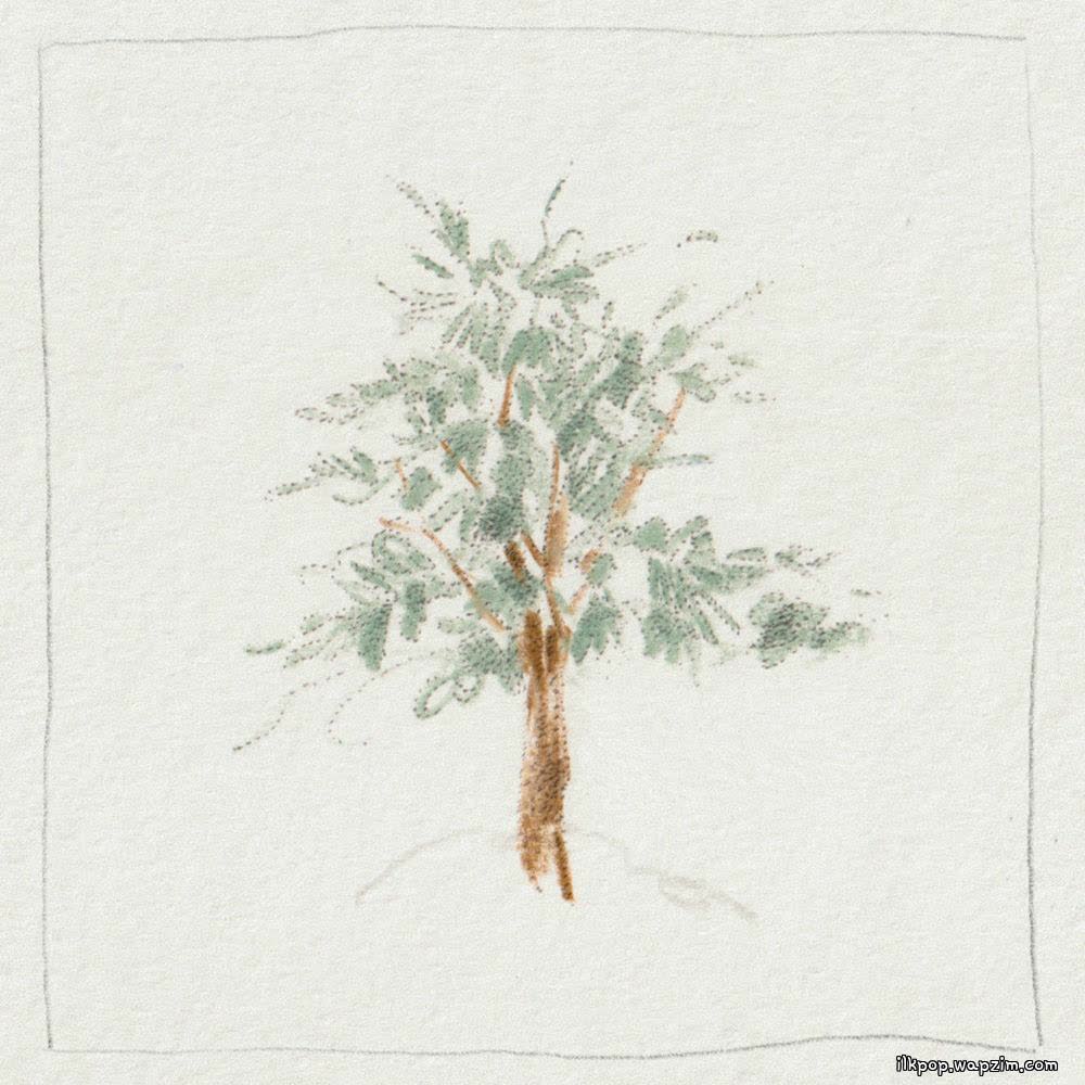 Kim Hyeonsu - 삼나무 (Cedar).mp3
