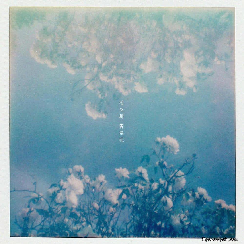 swing & CHOI - 청조화 靑鳥花 (The Blue Bird Flower).mp3