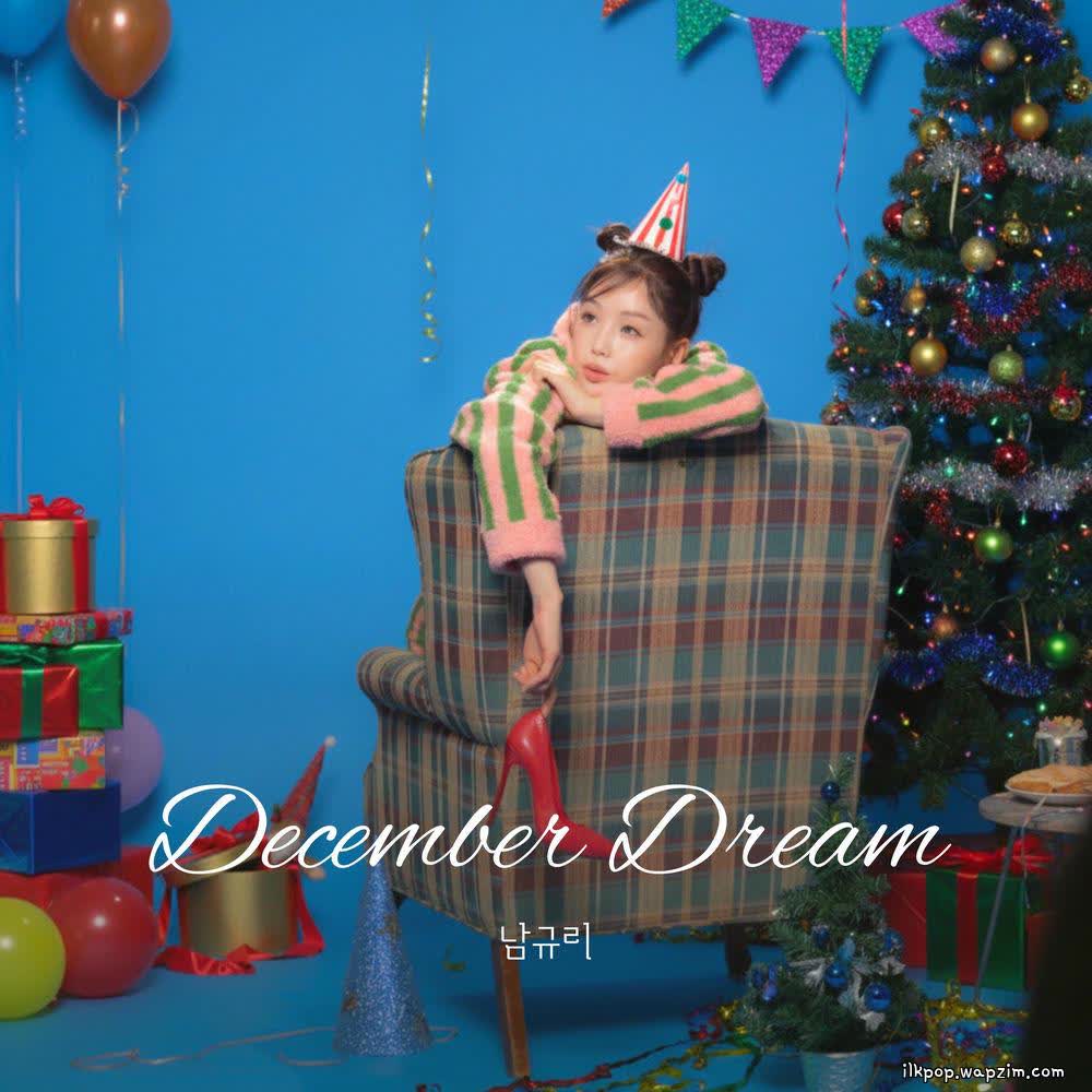 Nam Gyu Ri - December Dream.mp3