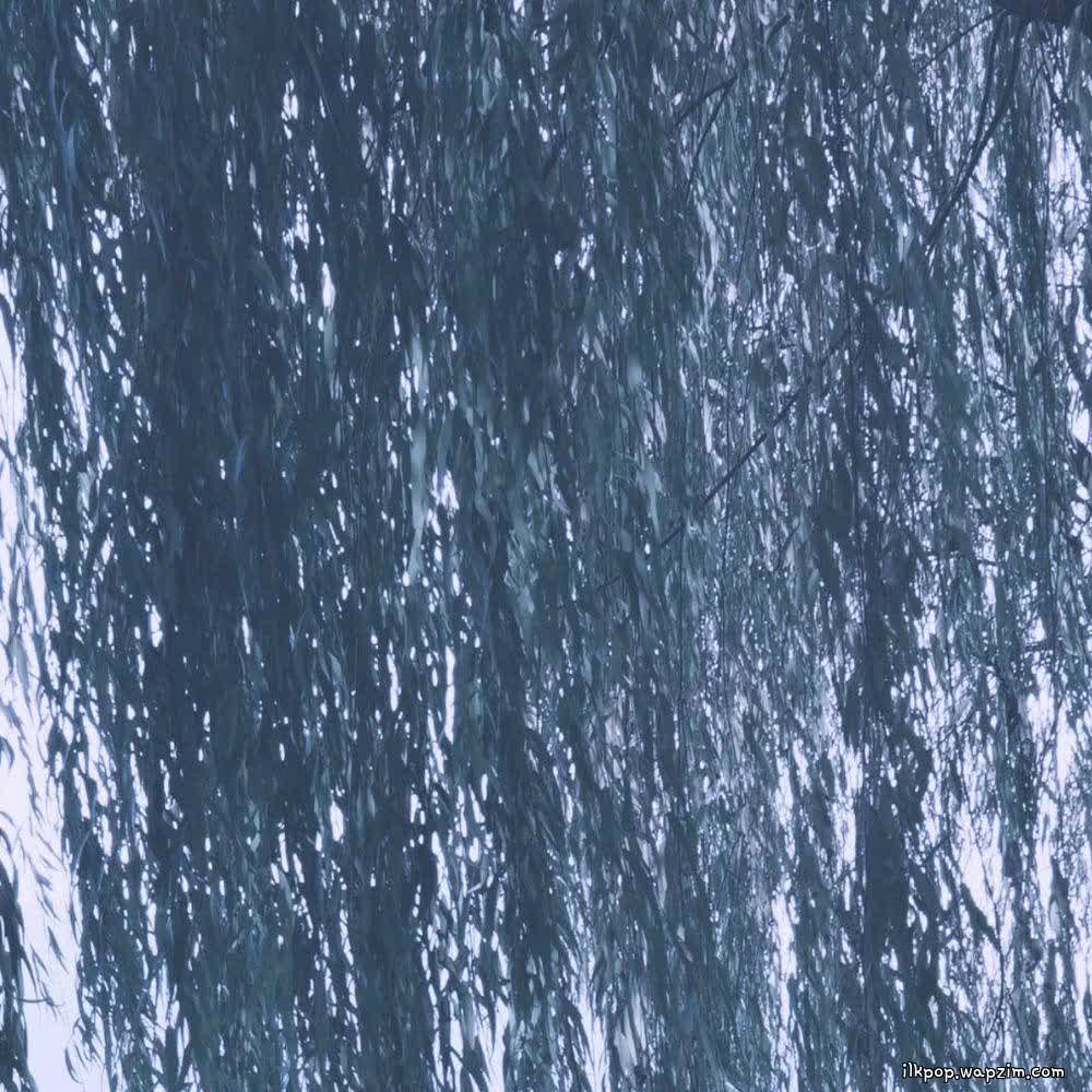 Mosh!gang2 - 버드나무 (Willow).mp3
