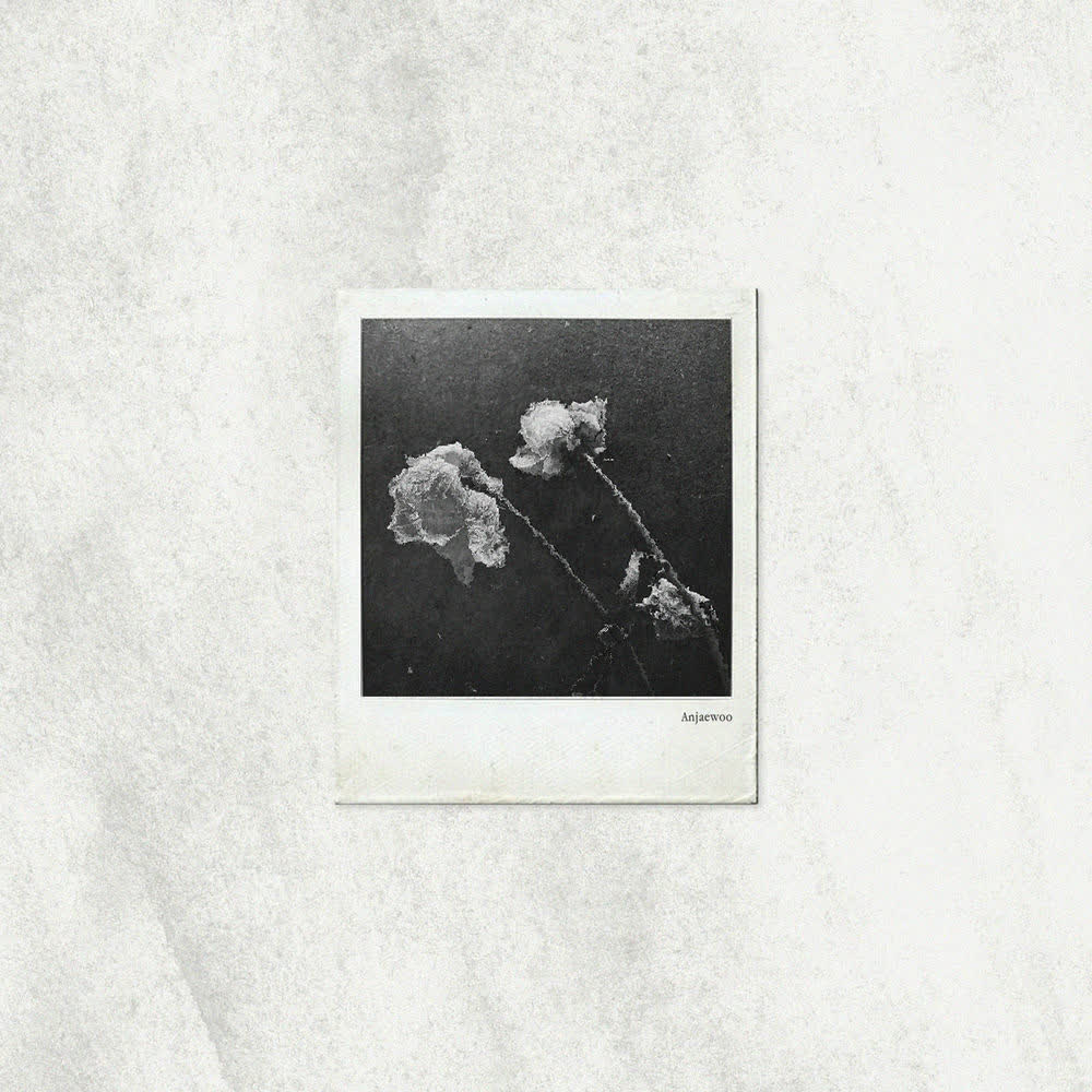 Jae Woo AN - 이별과 사랑 사이 (Between Love and Goodbye).mp3