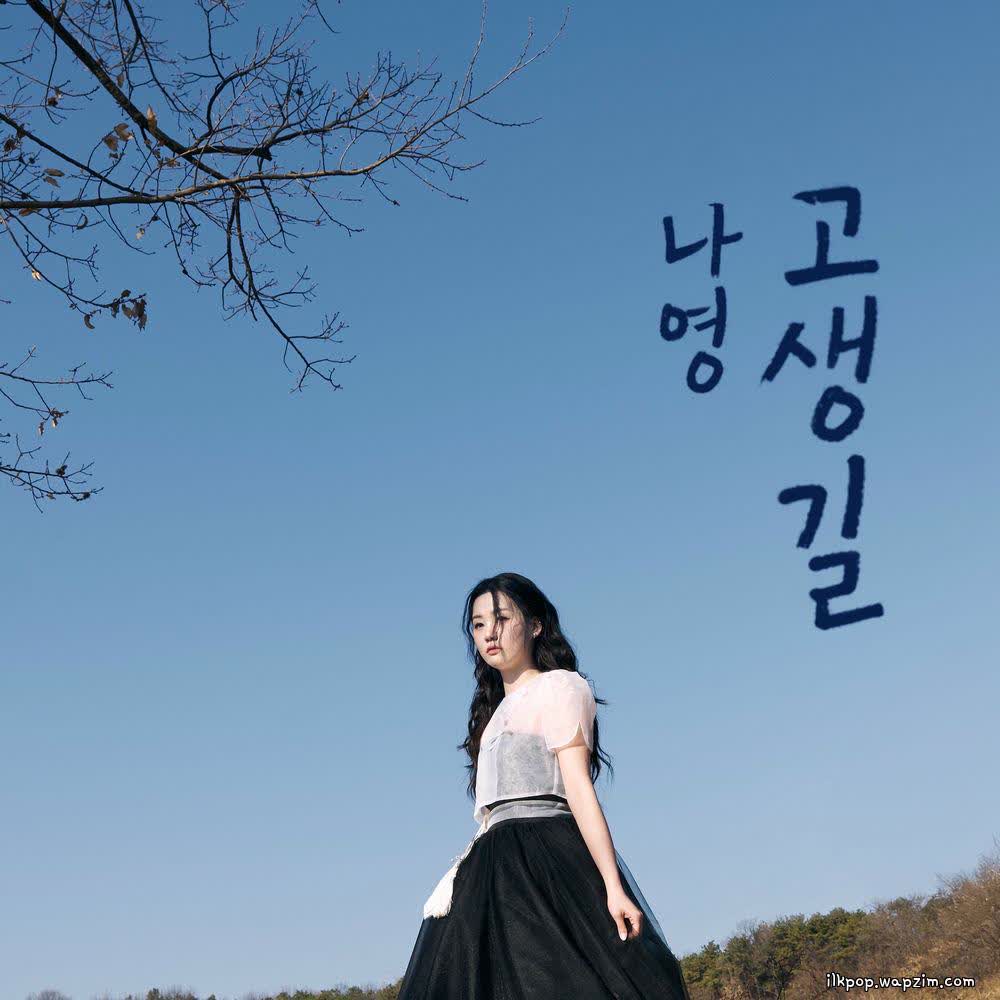 Nayoung - 고생길 (Hard Life).mp3