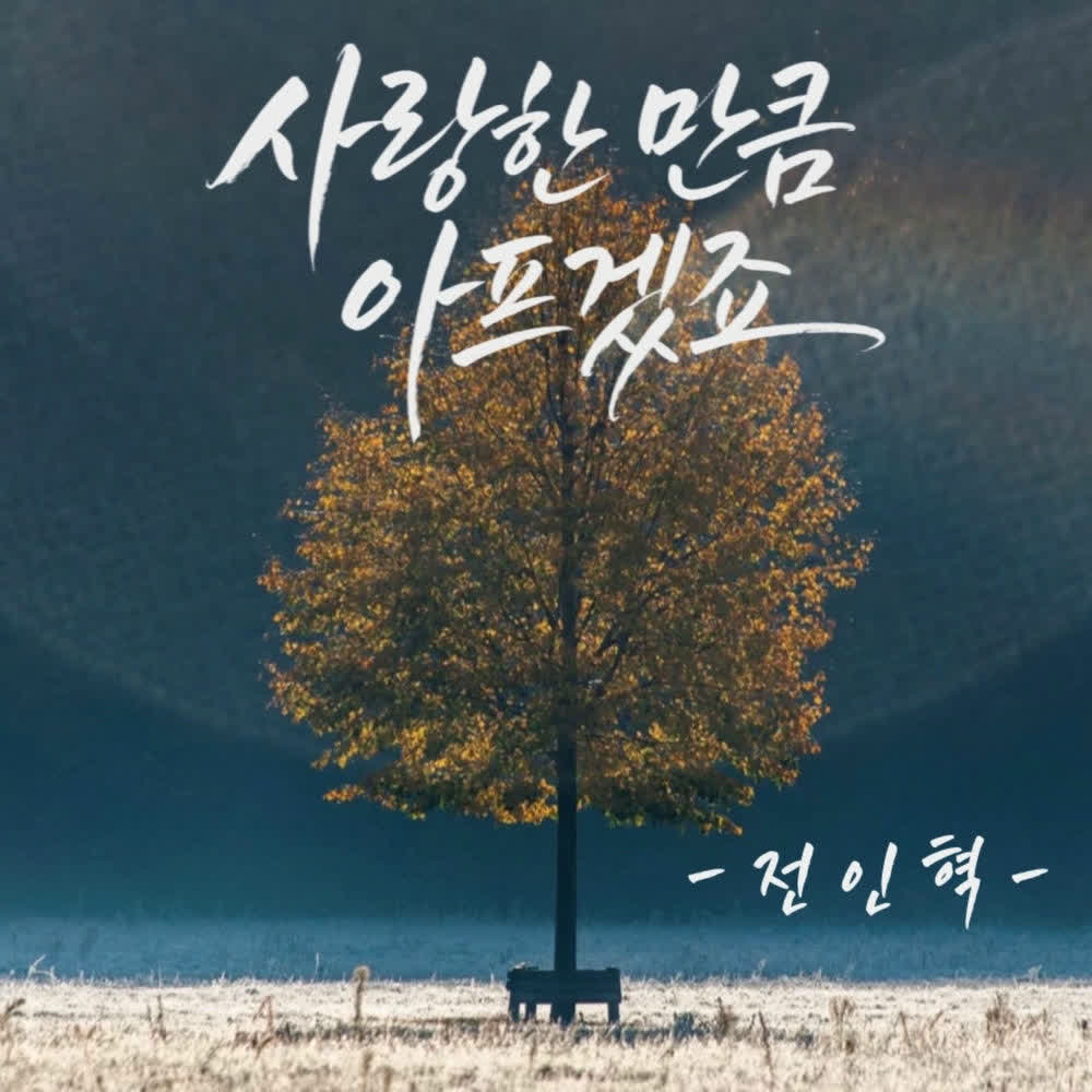 JEON IN HYUK - 사랑한 만큼 아프겠죠 (AS Much as I Loved).mp3
