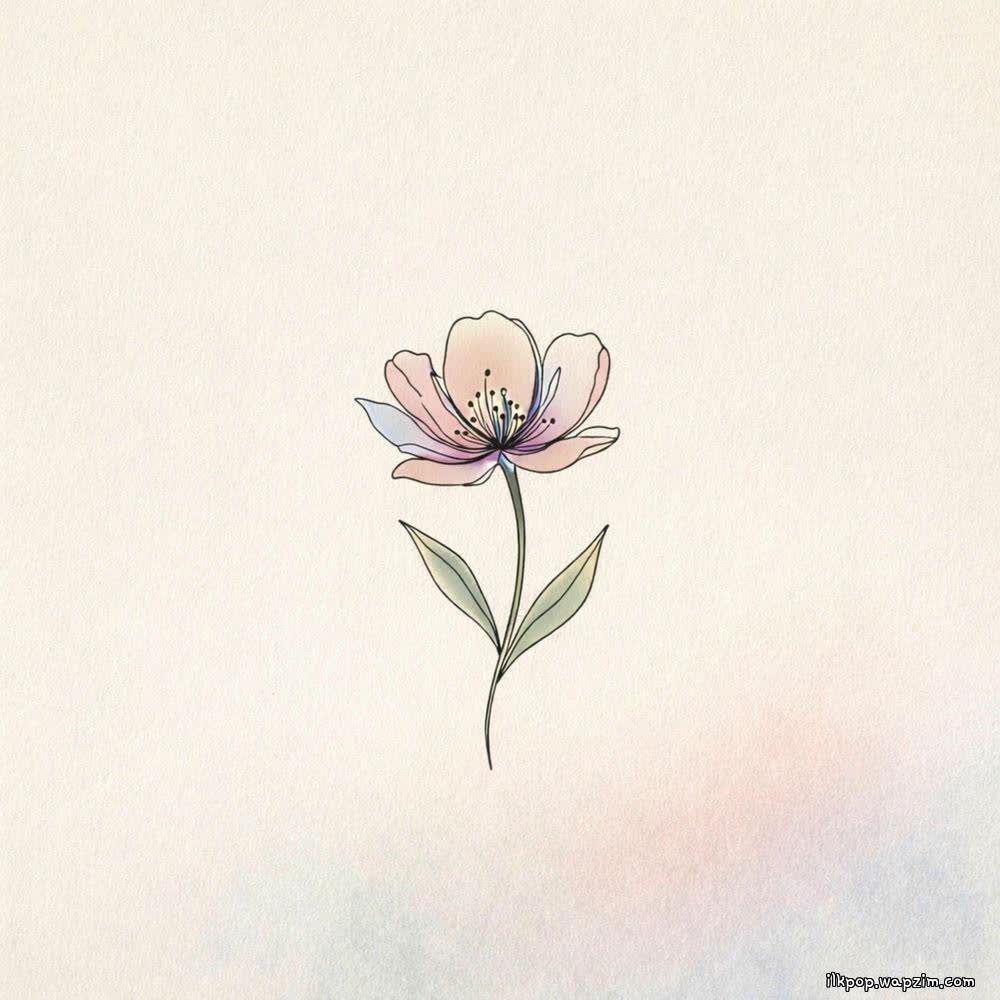 JIN JU - 넌 이미 충분히 아름다워 (You Already Beautiful Enough).mp3