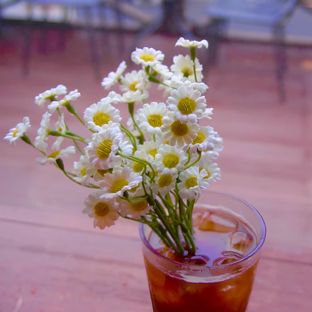 JayBrown - 내 마음은 커피 (Coffee and a Daisy).mp3