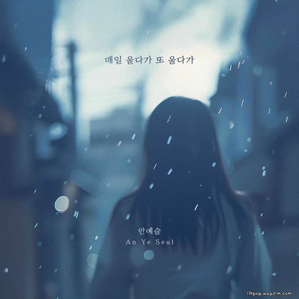 An Ye Seul - 매일 울다가 또 울다가 (Every Day I Cry Again).mp3