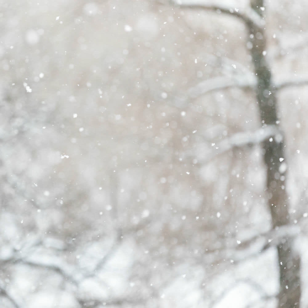 Grynia - 하루 종일 눈이 내려요 (It's snowing all day).mp3