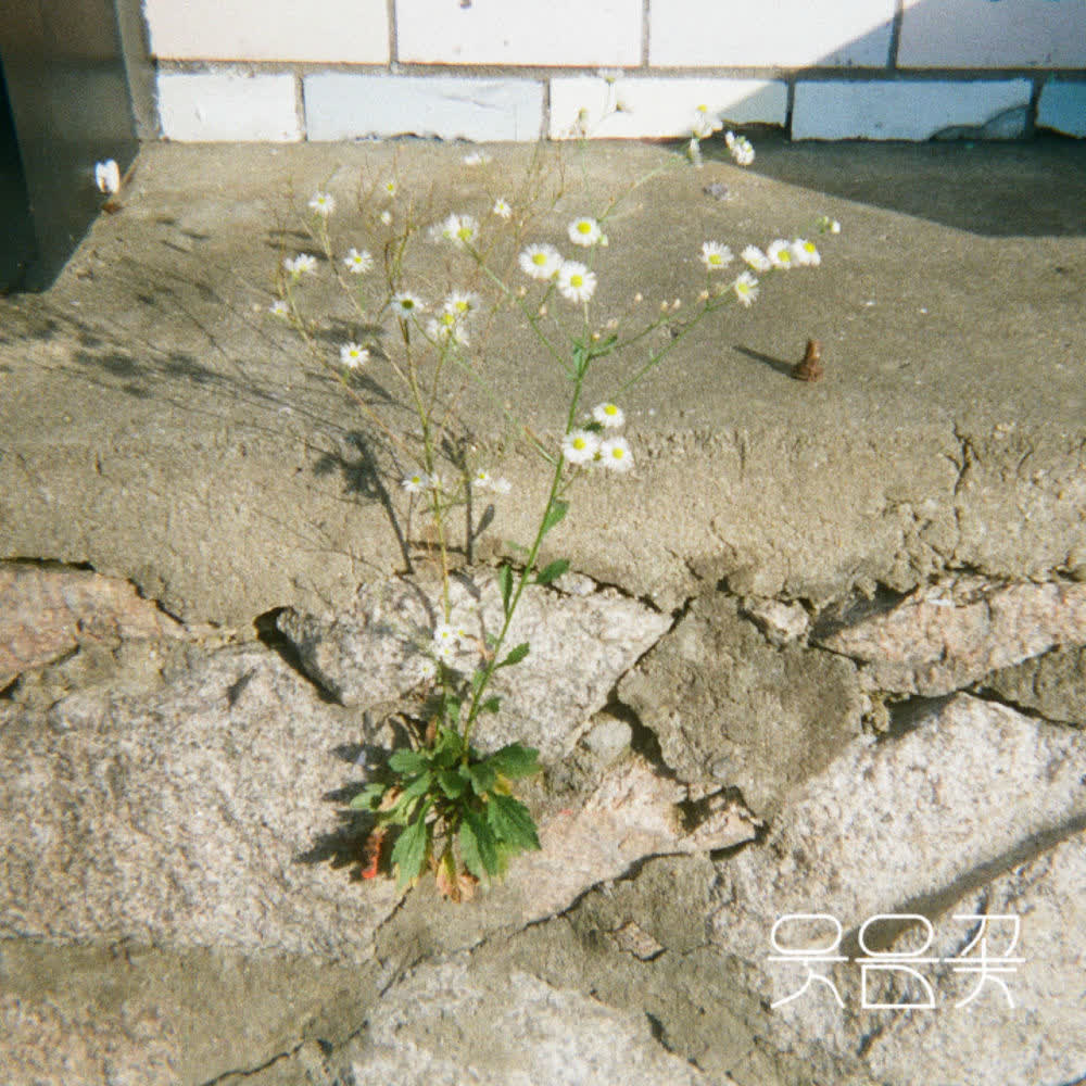 Wooden Lee - 웃음꽃 上 (Smiles Bloomed – Pt. 1).mp3
