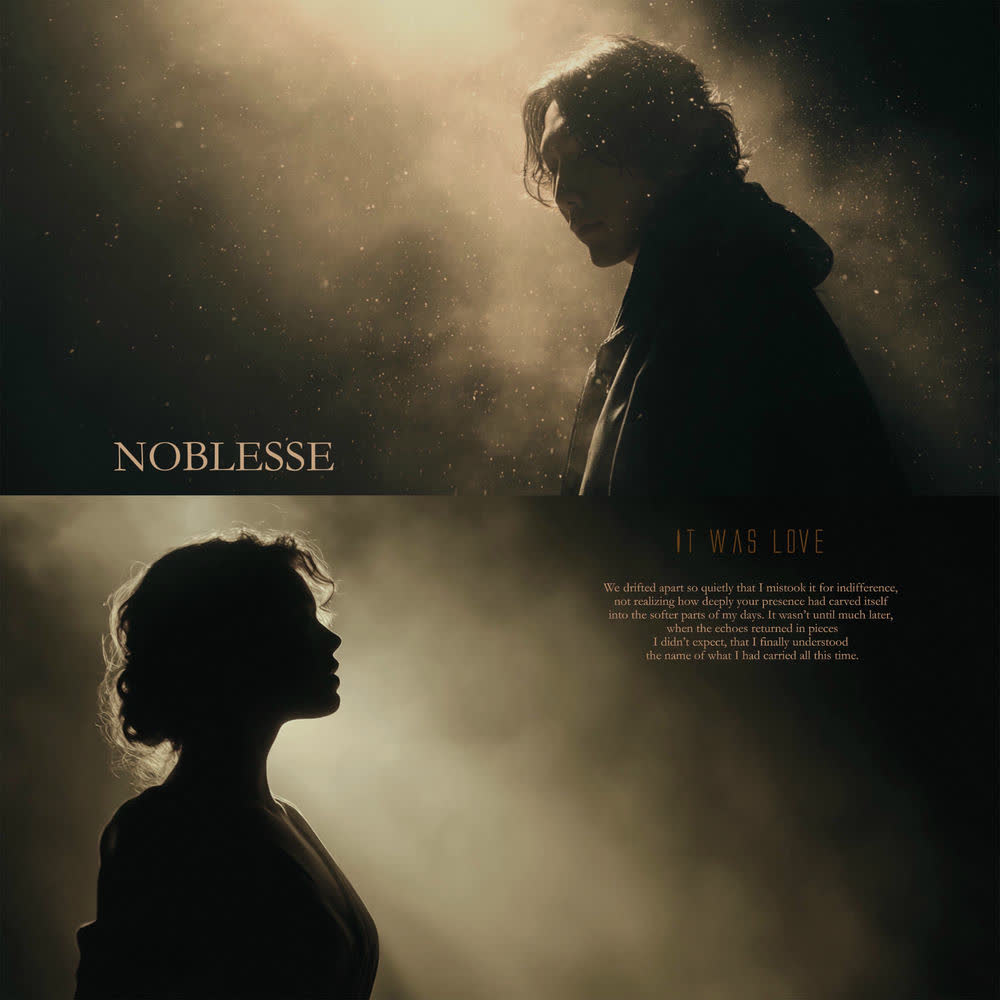 Noblesse - It was love.mp3