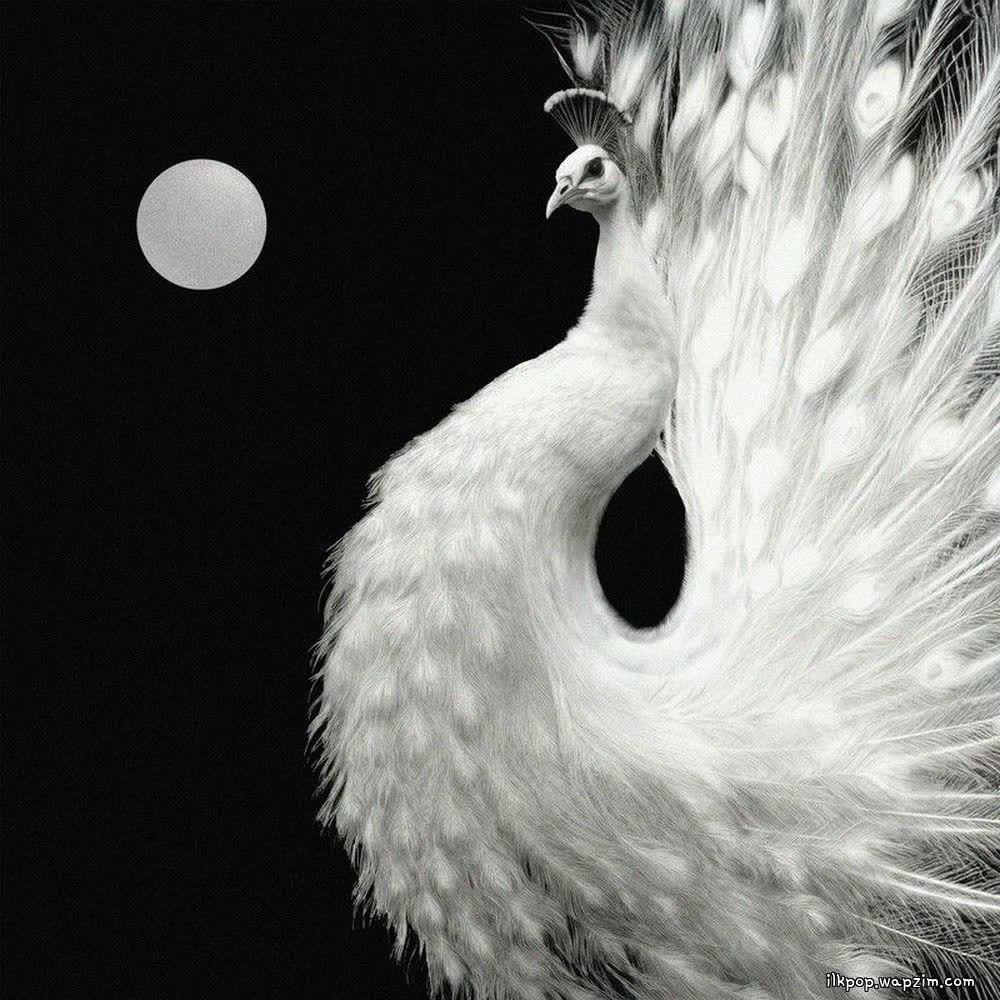 ZICO & Crush - Yin and Yang.mp3