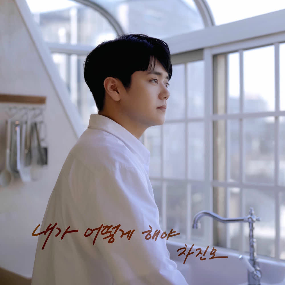 Cha Jin Mo - 내가 어떻게 해야 (What Can I Do for You).mp3