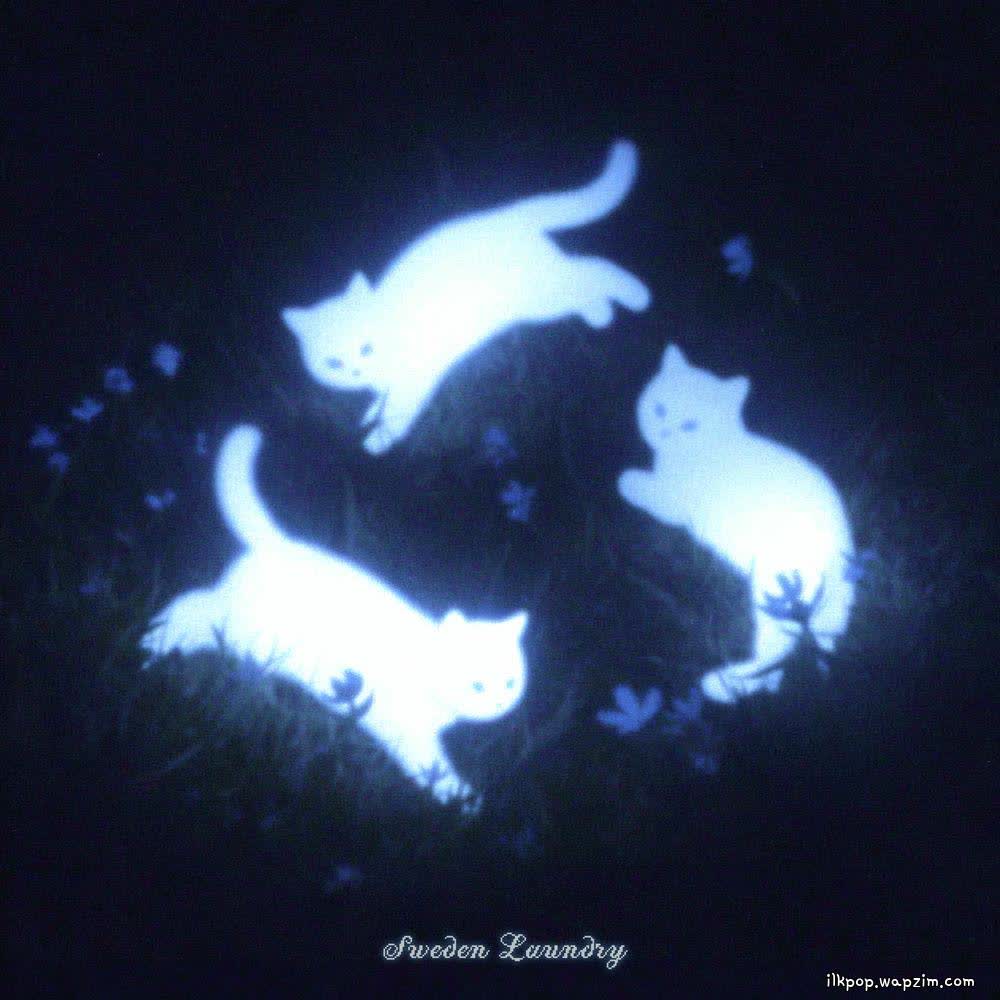 Sweden Laundry - 아침에 봐 (good morning).mp3