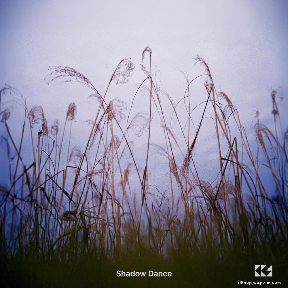 choichangsoon - 그림자춤 (Shadow Dance).mp3