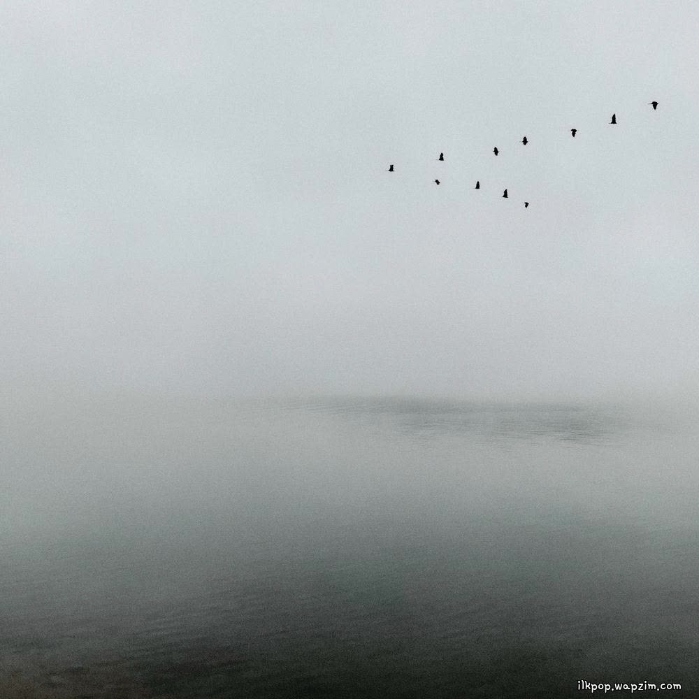 JIYE - 작은새 (Songbird).mp3