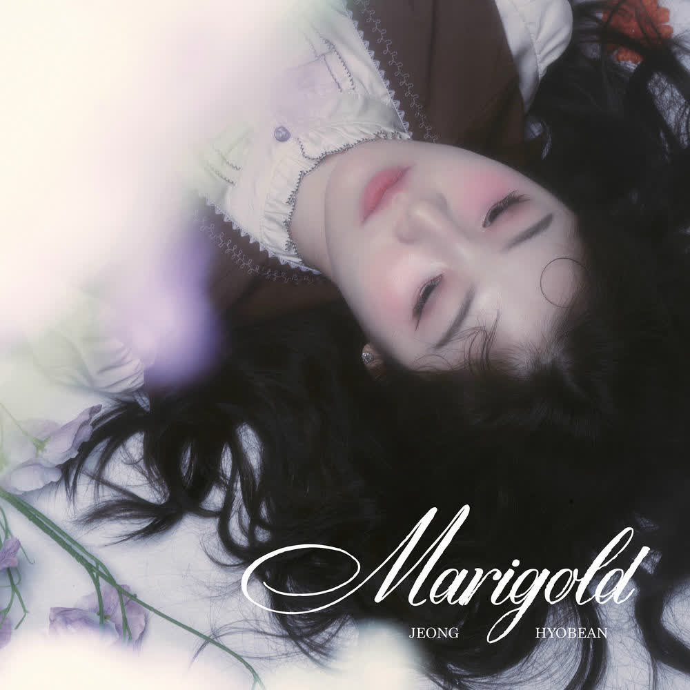 JEONG HYO BEAN - 밤의 정원 (Garden at night).mp3
