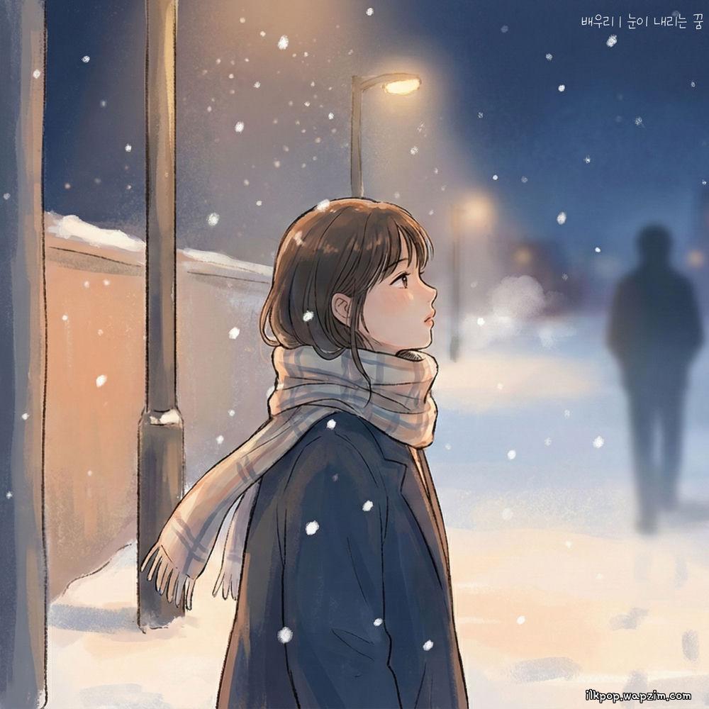 Bae Woori - 눈이 내리는 꿈 (A Snowy Dream).mp3