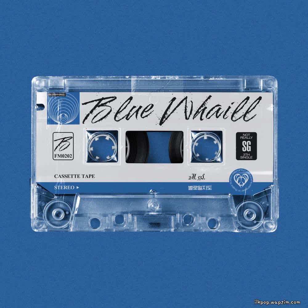 BLUE WHAILL - 별로일지도 (Maybe Nothing).mp3