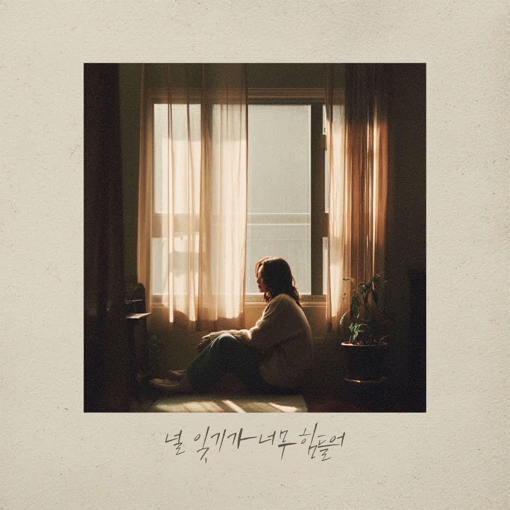 Kim Na Kyung - 널 잊기가 너무 힘들어 (Hard to Forget You).mp3