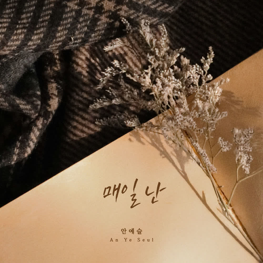 An Ye Seul - 매일 난 (Everyday).mp3