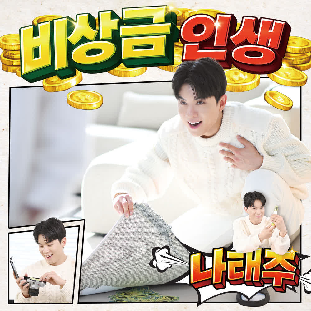 NA TAE JOO - 비상금 인생.mp3