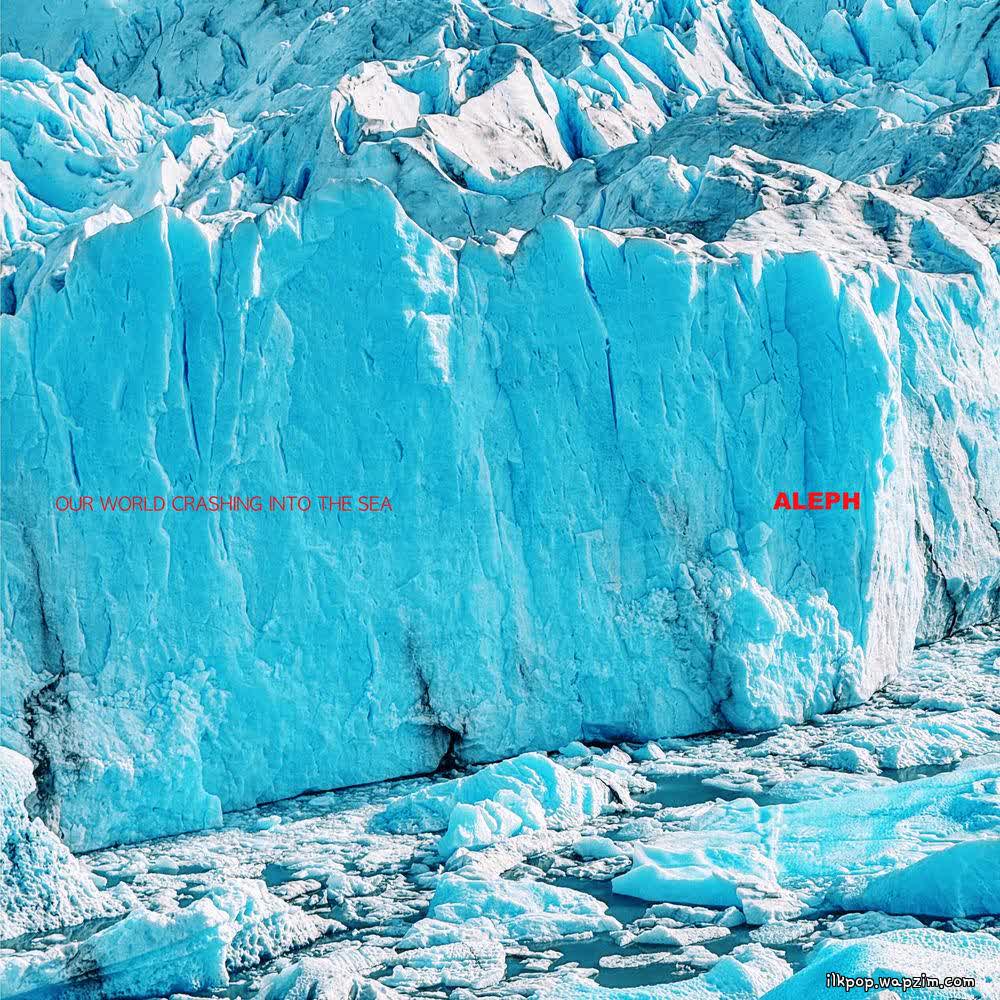 ALEPH - 난 너와 가족이 되고 싶었던 거야 (Our world crashing into the sea).mp3