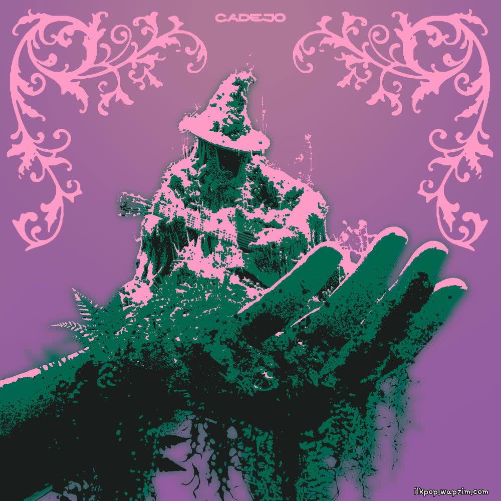 CADEJO - 장중지림 掌中之林 (in your forest).mp3