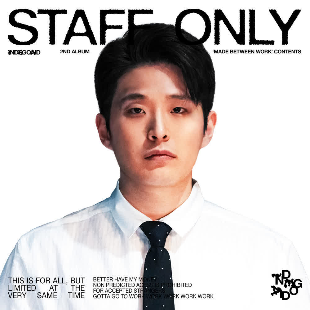 INDEGOAID - 언젠가 (SOMEDAY).mp3