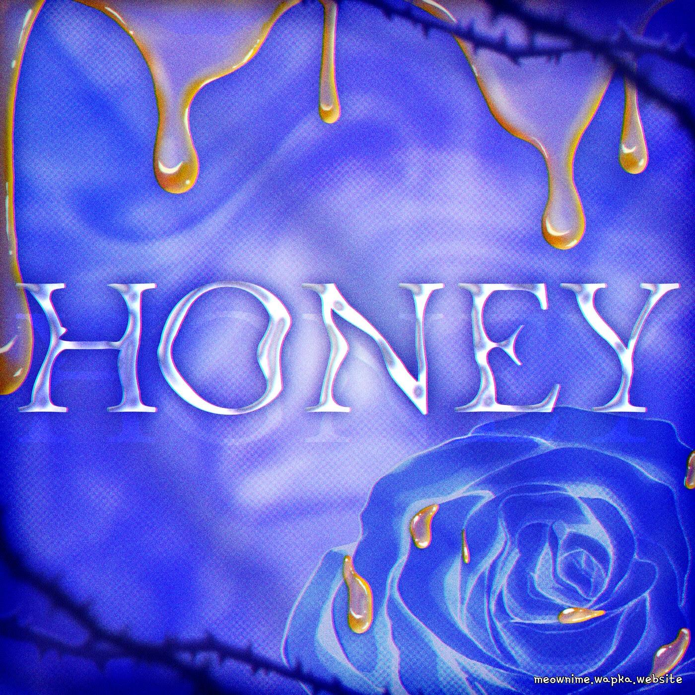 Roselia - HONEY (Cover).mp3