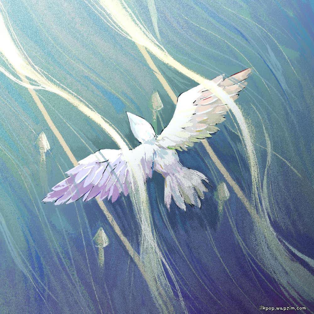 UmYull - 바람잡이 (Wind;Decoy).mp3