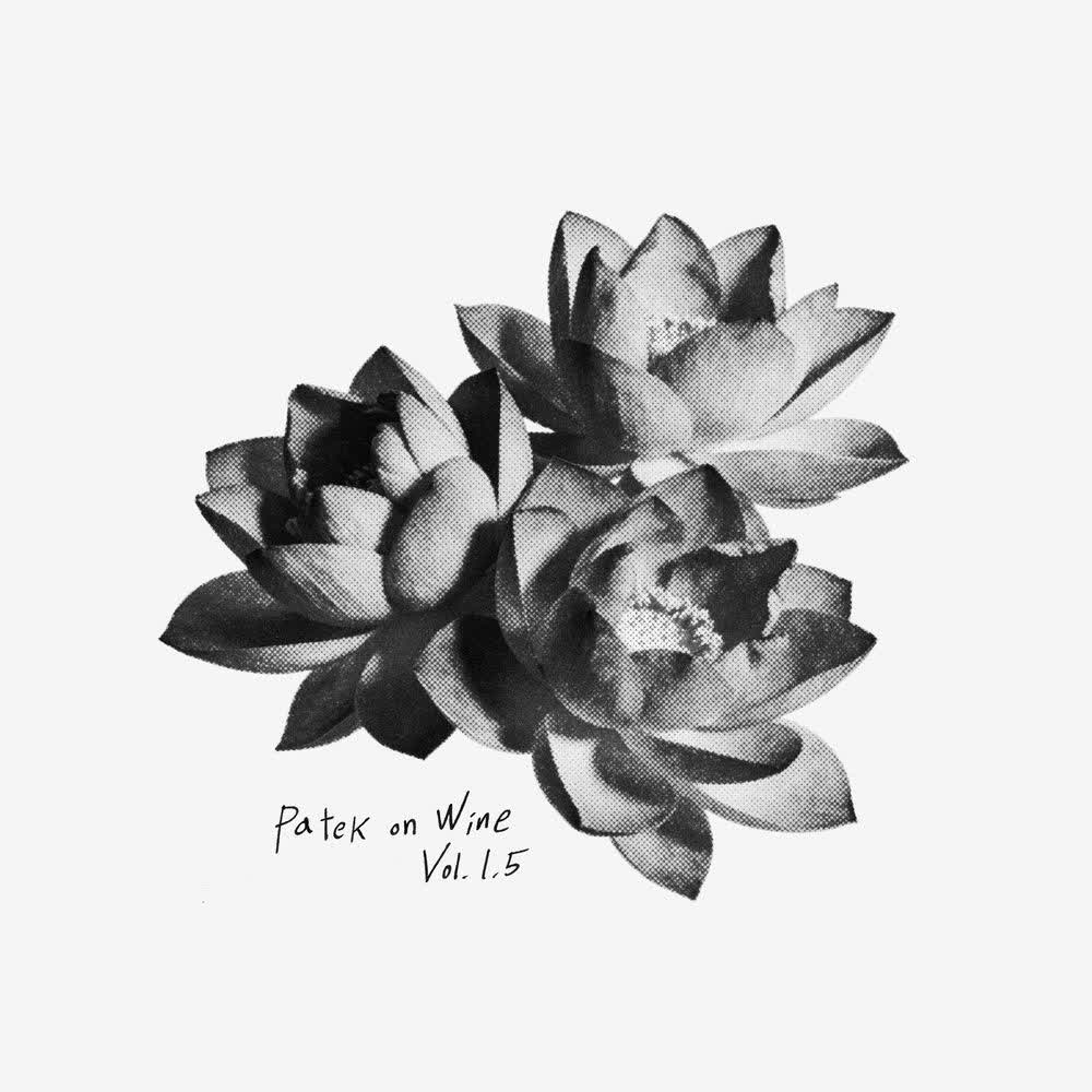 PATEKO & kid wine - 흩날린다 (Drifting).mp3