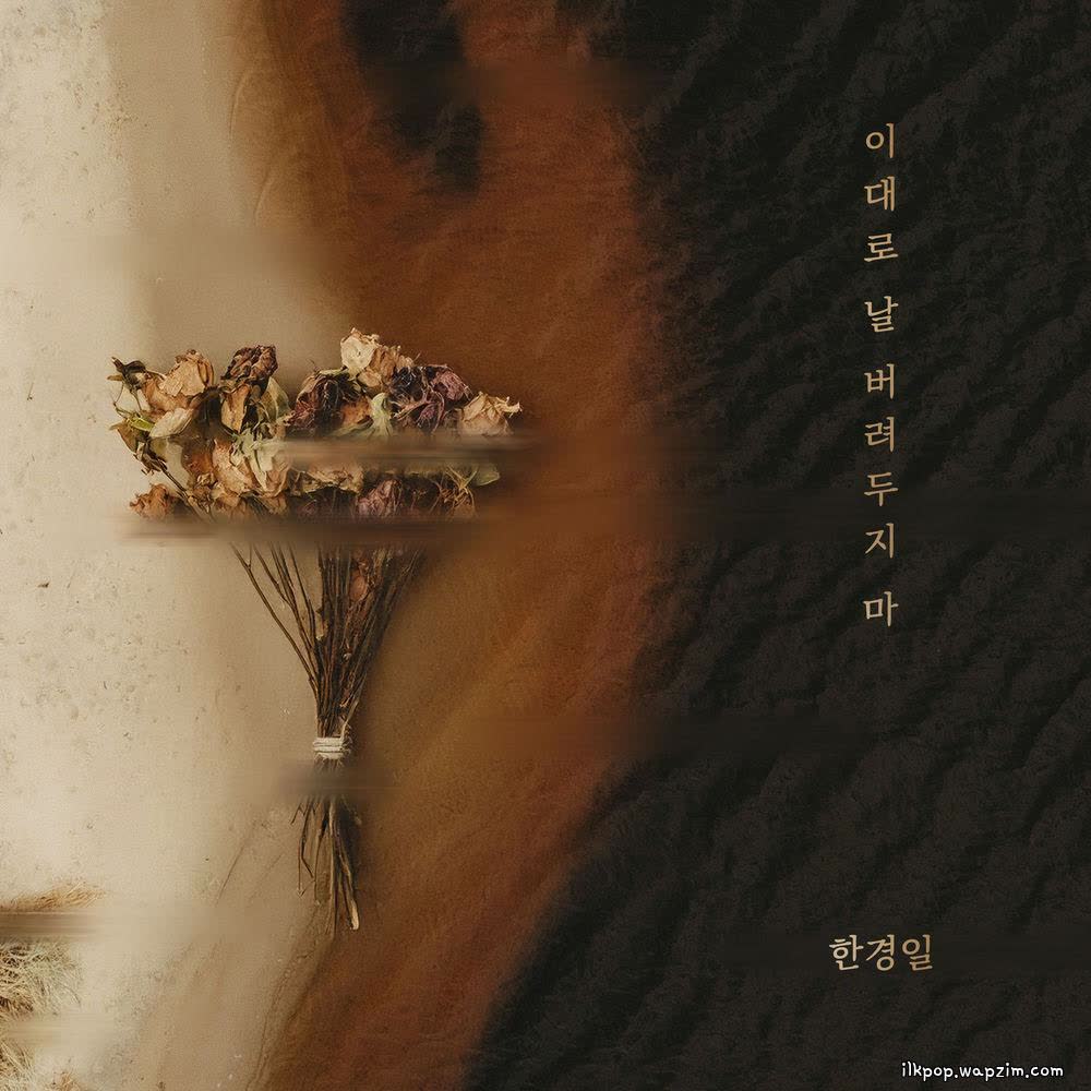 Han Kyung Il - 이대로 날 버려두지 마.mp3