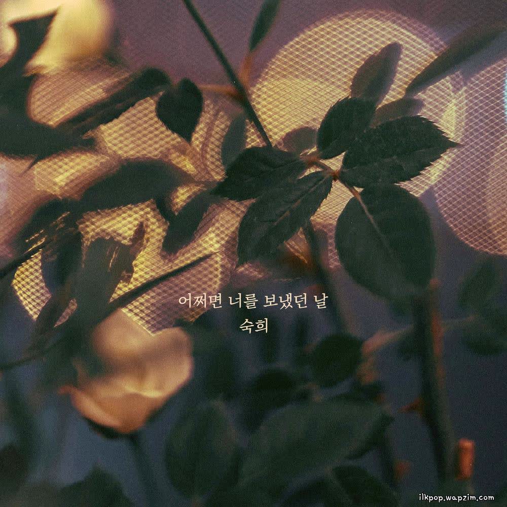 Suki - 어쩌면 너를 보냈던 날 (Maybe the day I let you go).mp3