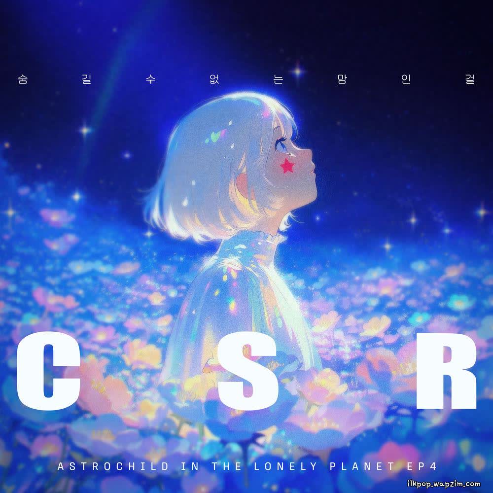 CSR - 숨길 수 없는 맘인걸 (Can't Hide Anymore).mp3