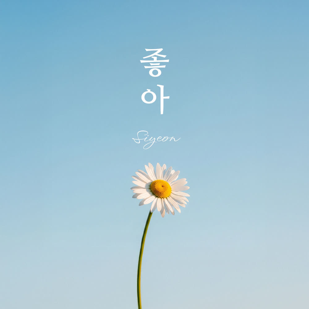 Si Yeon - 좋아 (Spring Love).mp3